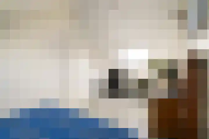 Markengouw 117 Amsterdam thumbnail 27