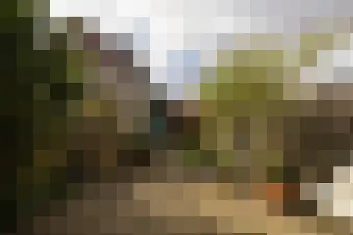 Markengouw 117 Amsterdam thumbnail 29
