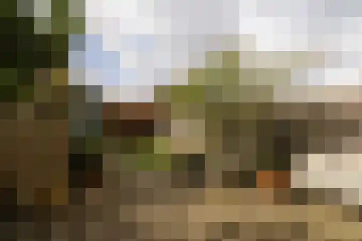 Markengouw 117 Amsterdam thumbnail 30