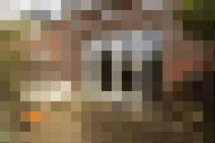 Markengouw 117 Amsterdam thumbnail 31