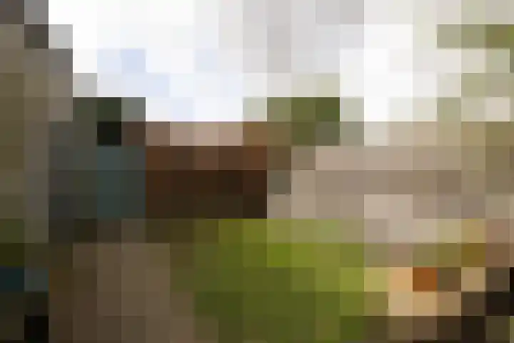 Markengouw 117 Amsterdam thumbnail 33