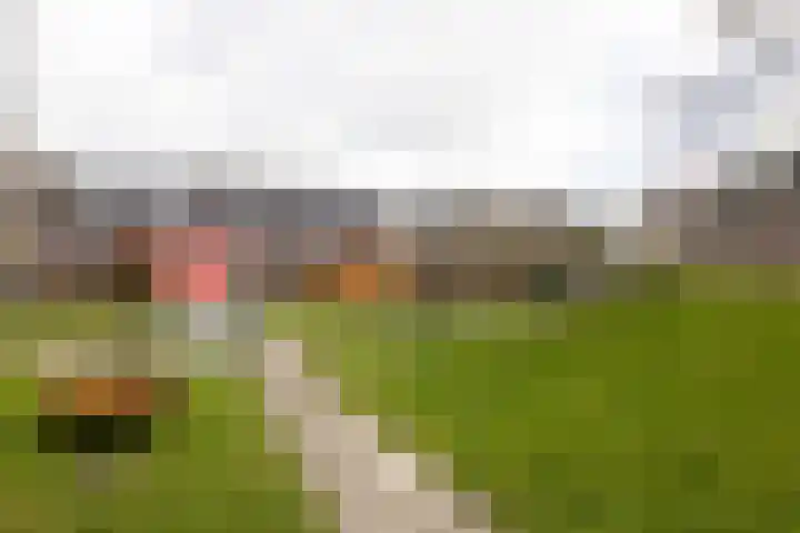 Markengouw 117 Amsterdam thumbnail 35
