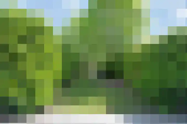 Markenhaven 14 Amersfoort thumbnail 38