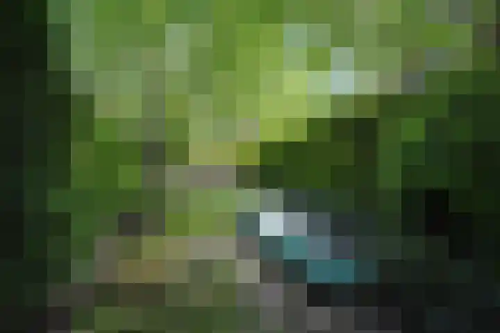 Markenhaven 14 Amersfoort thumbnail 39