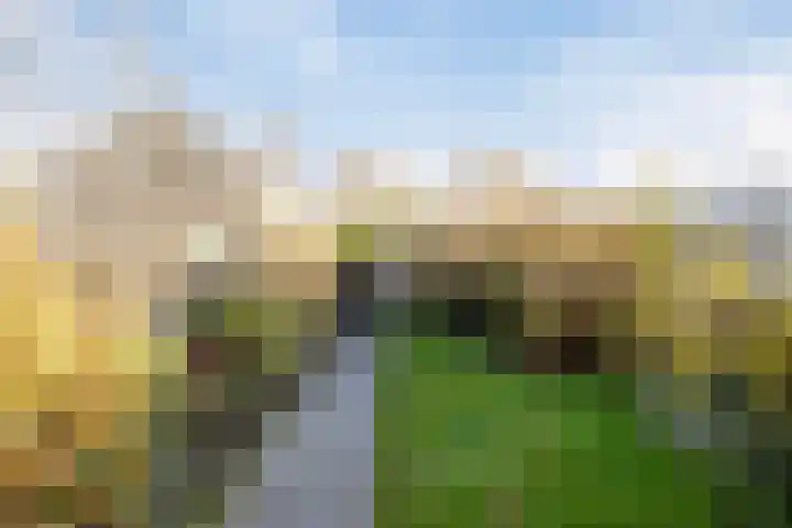 Markenland 131 Etten-Leur thumbnail 36
