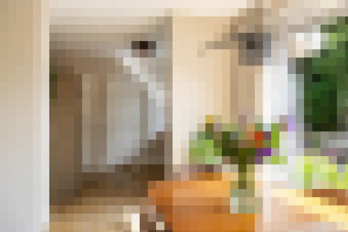 Markepad 4 Gasselte thumbnail 20