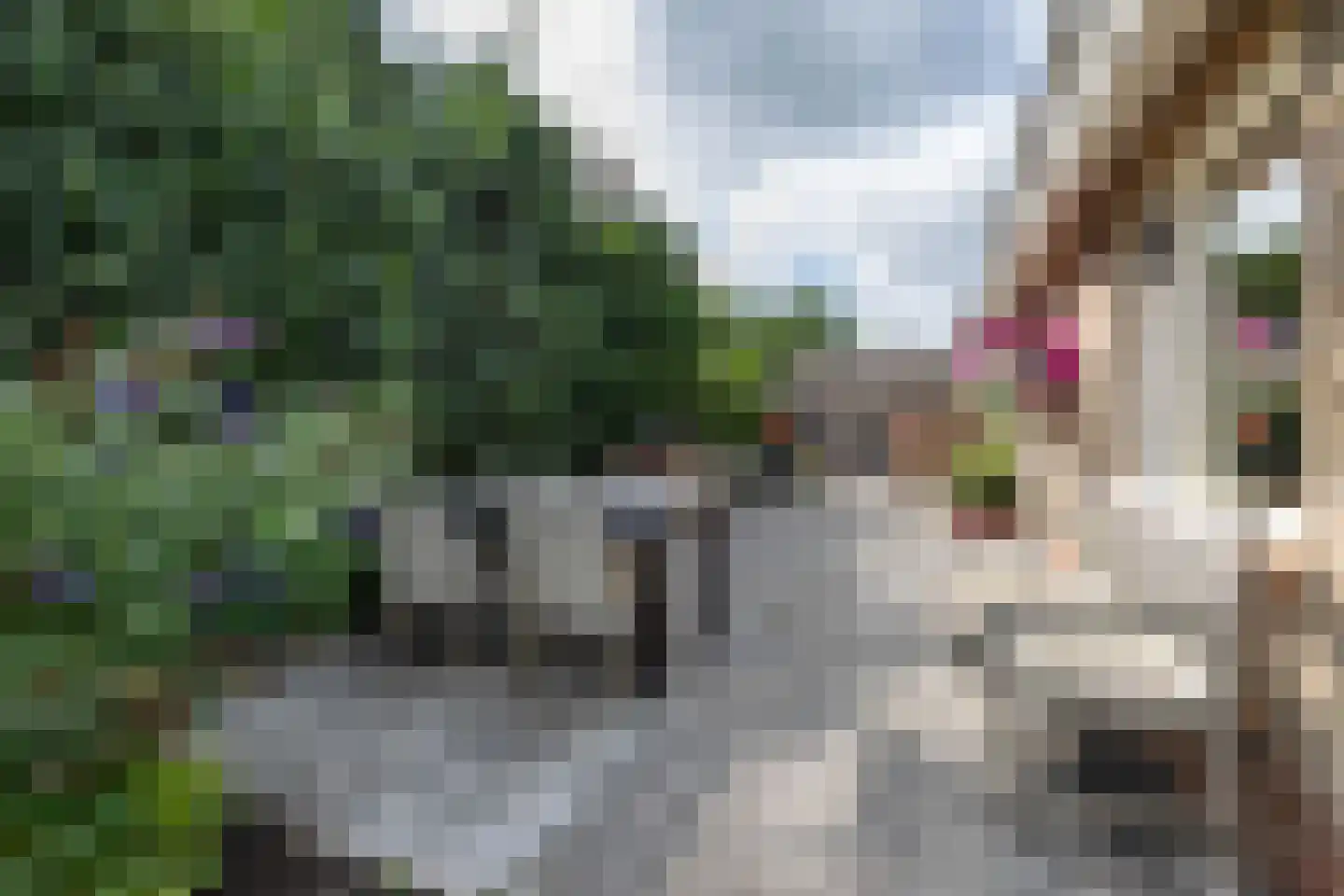 Markepad 4 Gasselte thumbnail 42