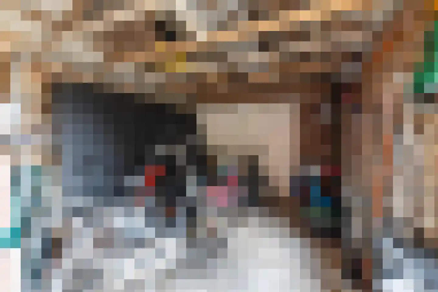 Markepad 4 Gasselte thumbnail 49