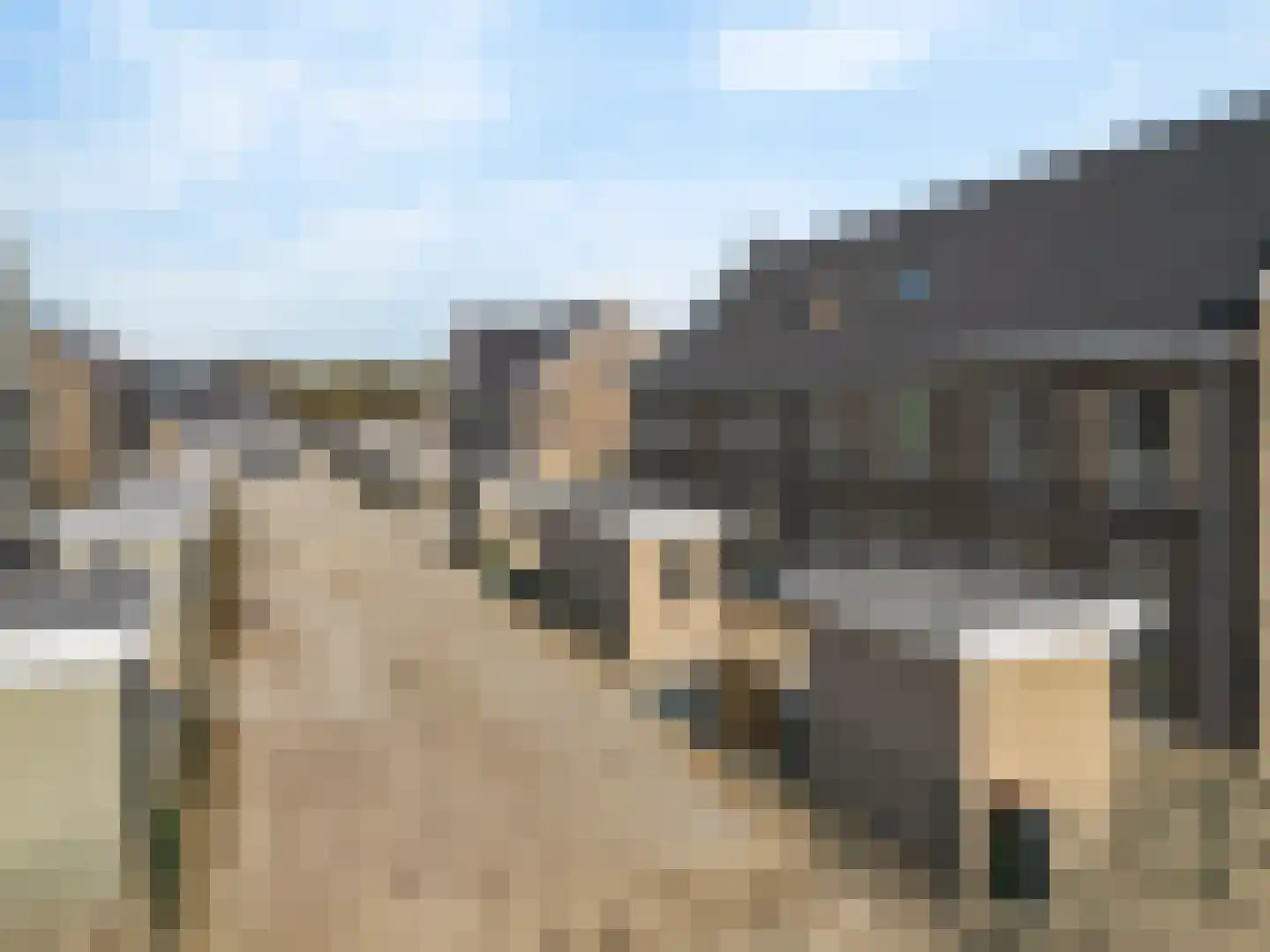 Marker 11 Purmerend thumbnail 44