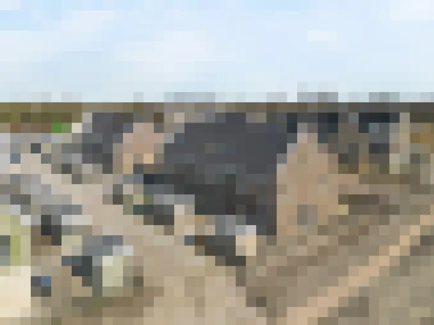 Marker 11 Purmerend thumbnail 54