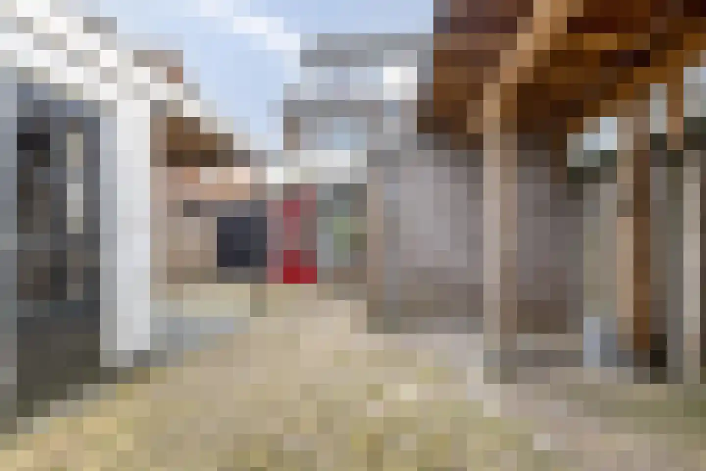 Markeresstraat 15 IJsselmuiden thumbnail 24