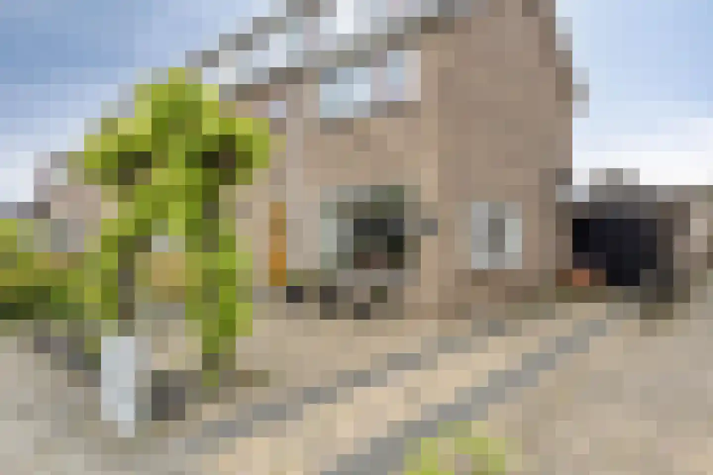 Markeresstraat 15 IJsselmuiden thumbnail 35