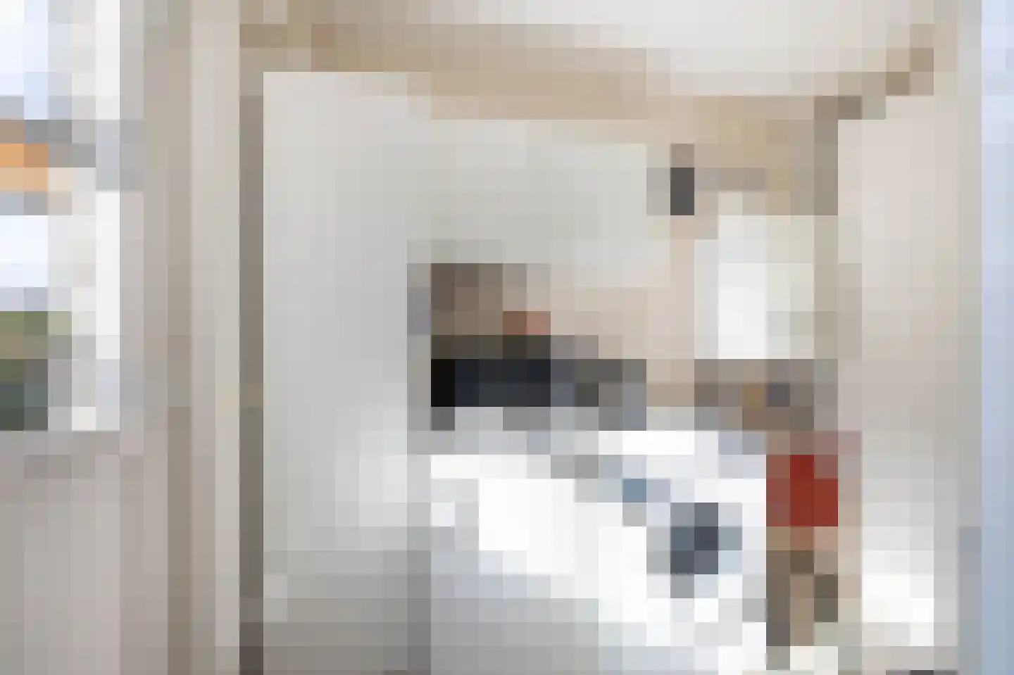 Markerichter 11 Almelo thumbnail 17
