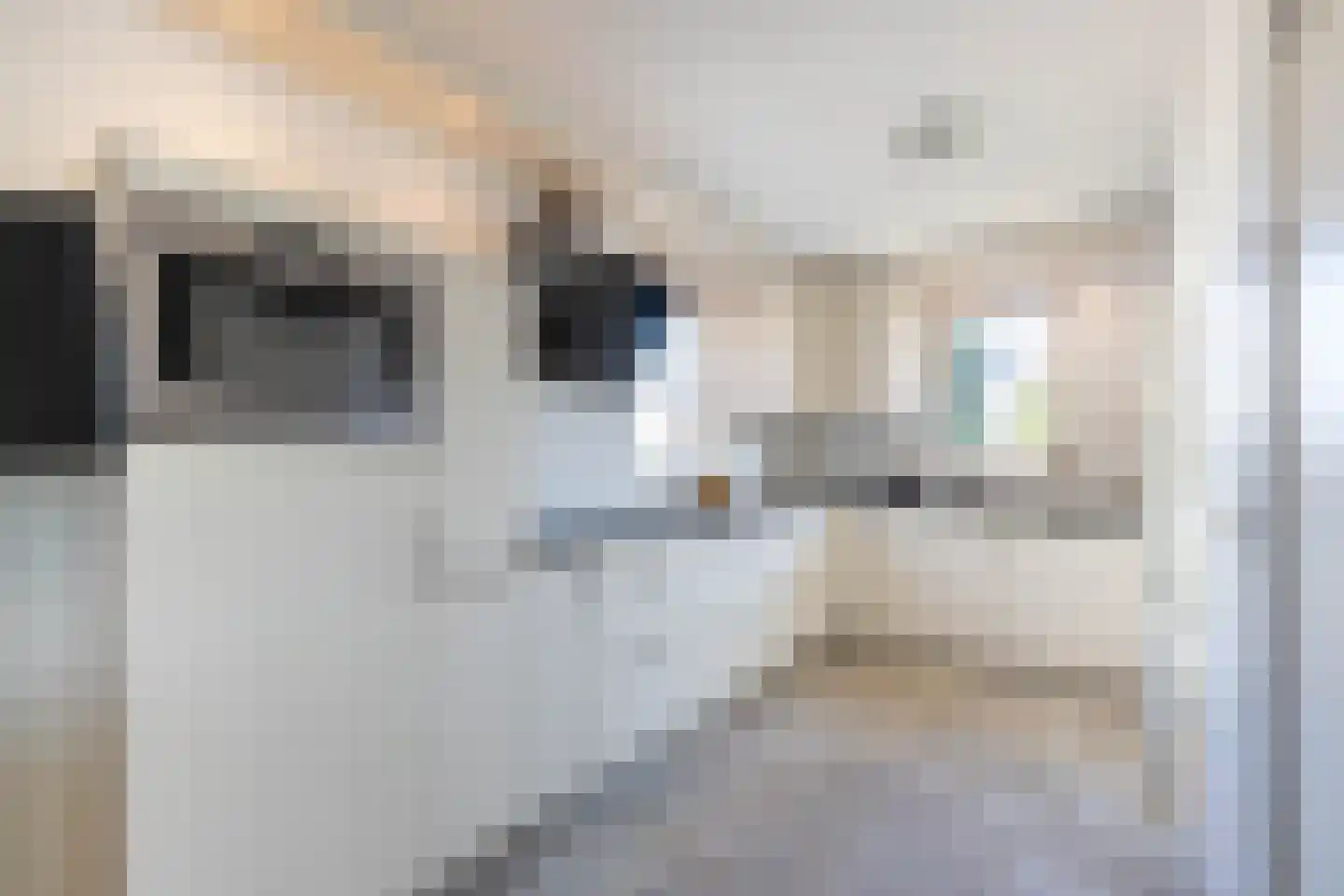 Markerichter 11 Almelo thumbnail 7