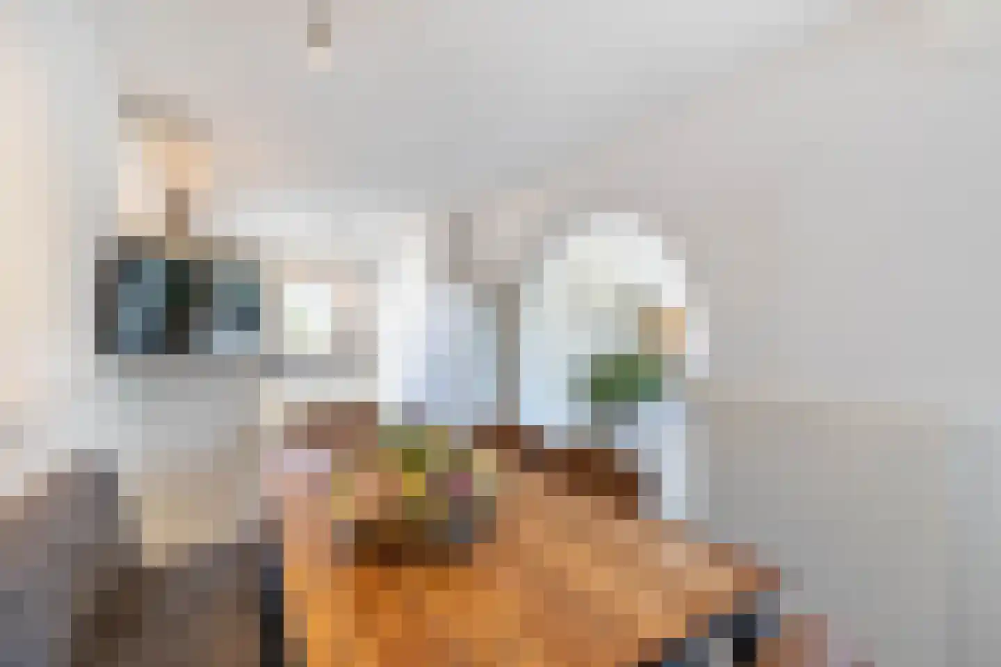 Markerichter 11 Almelo thumbnail 9