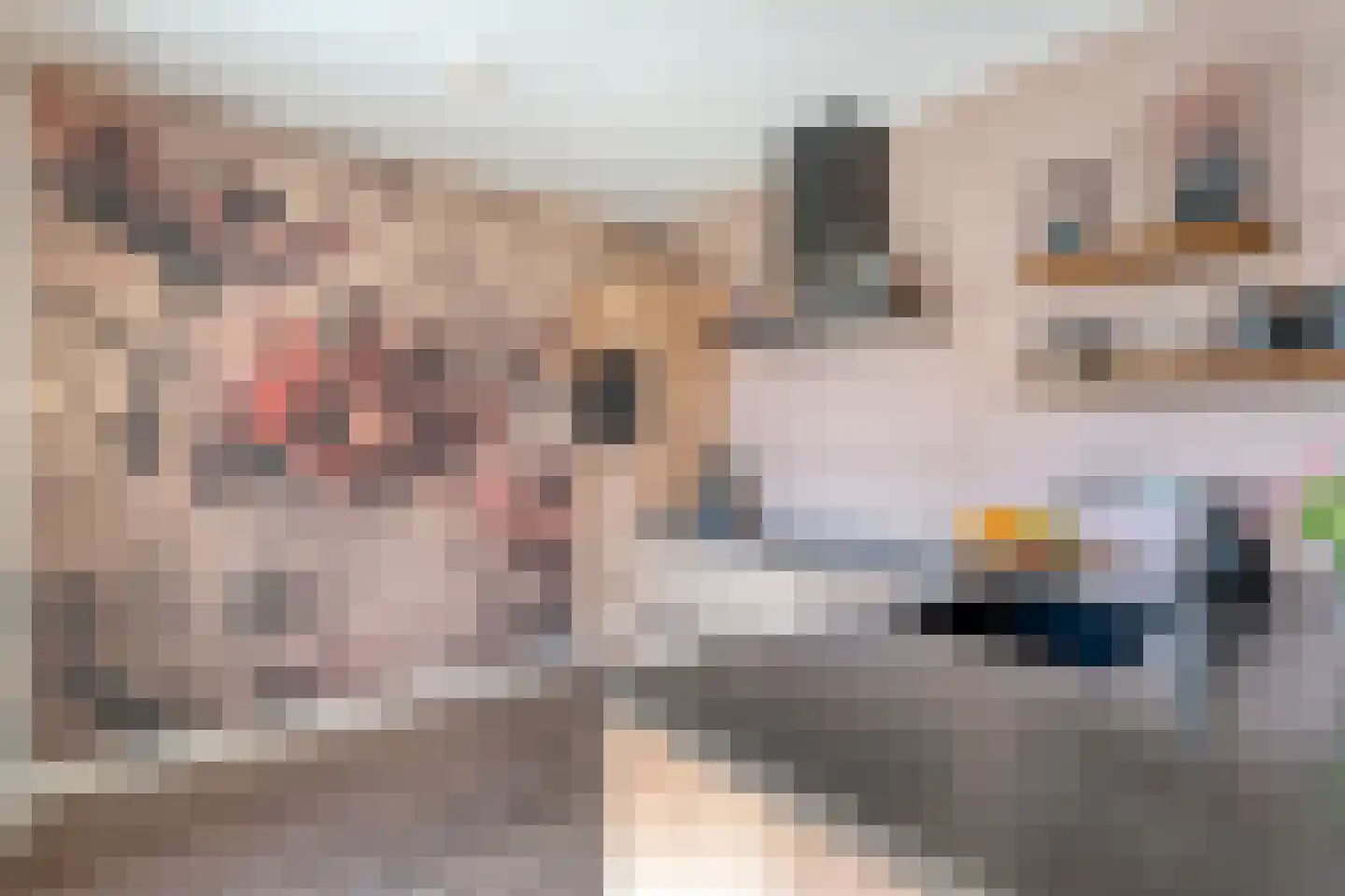 Markerichter 43 Hardenberg thumbnail 20