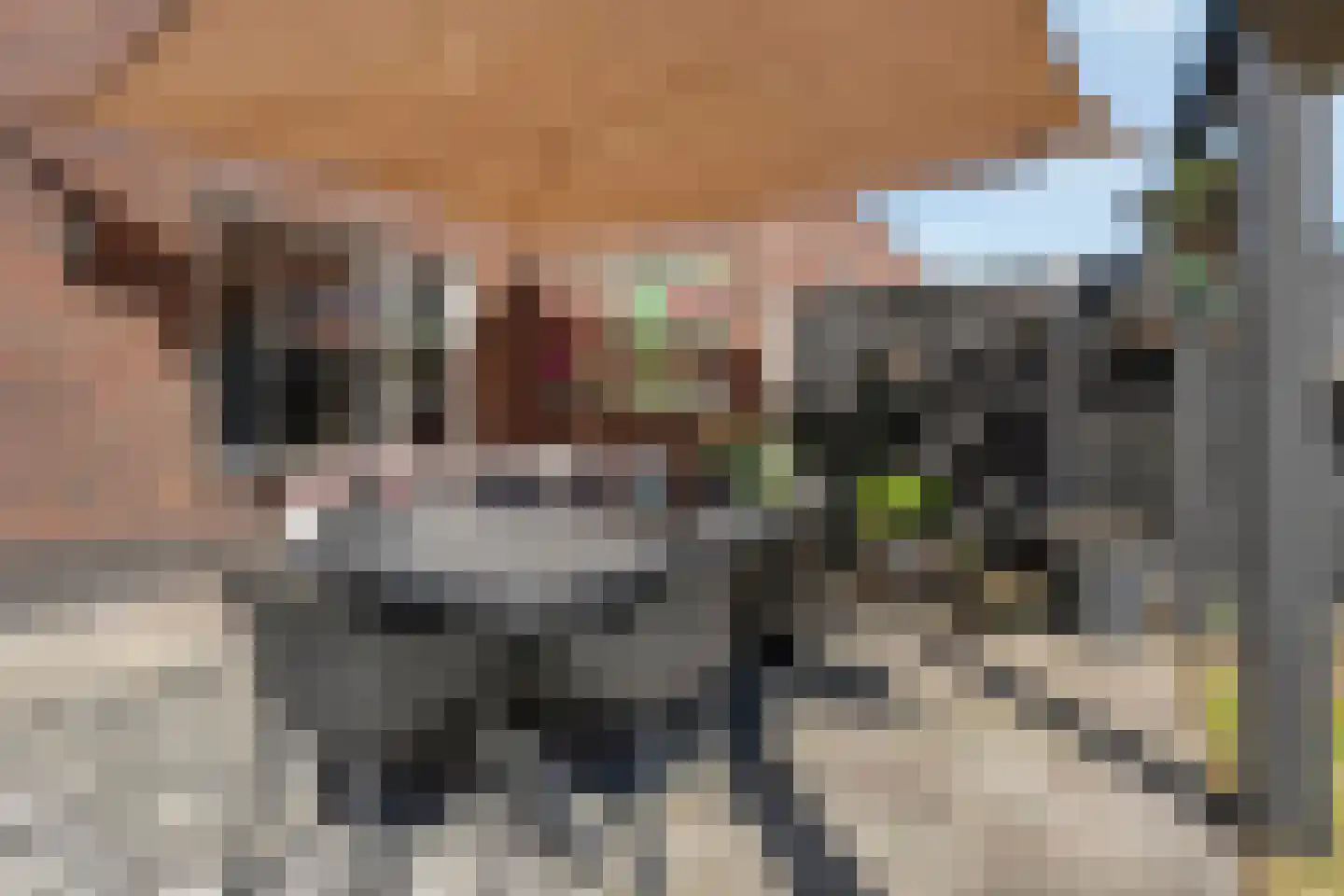 Markerichter 43 Hardenberg thumbnail 43