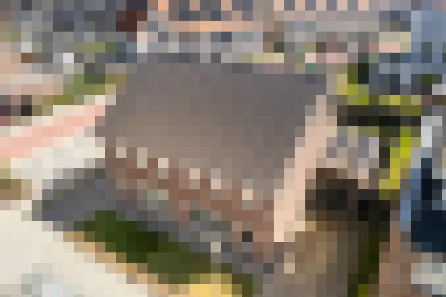 Markerichter 43 Hardenberg thumbnail 48