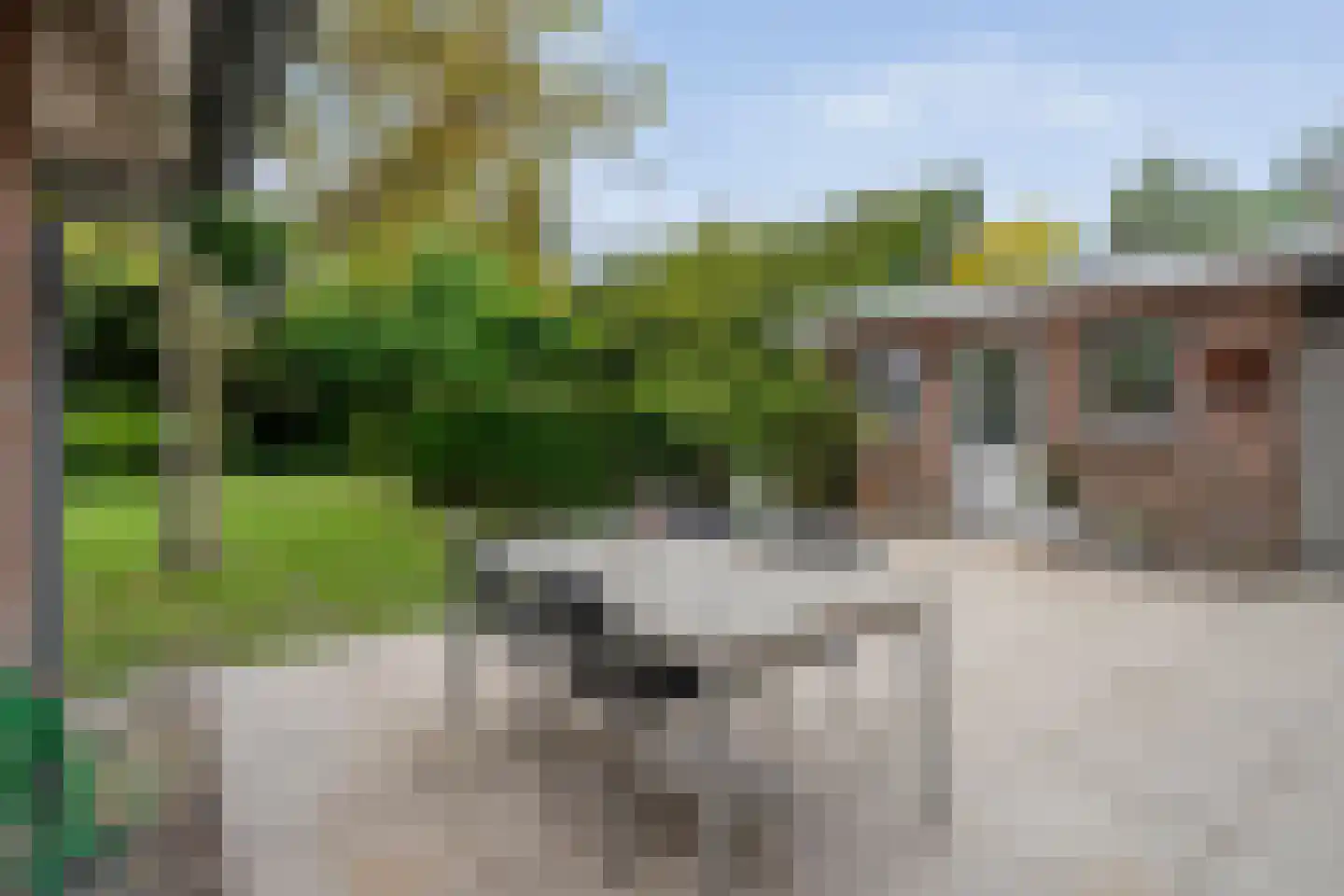 Markerichter 50 Almelo thumbnail 29