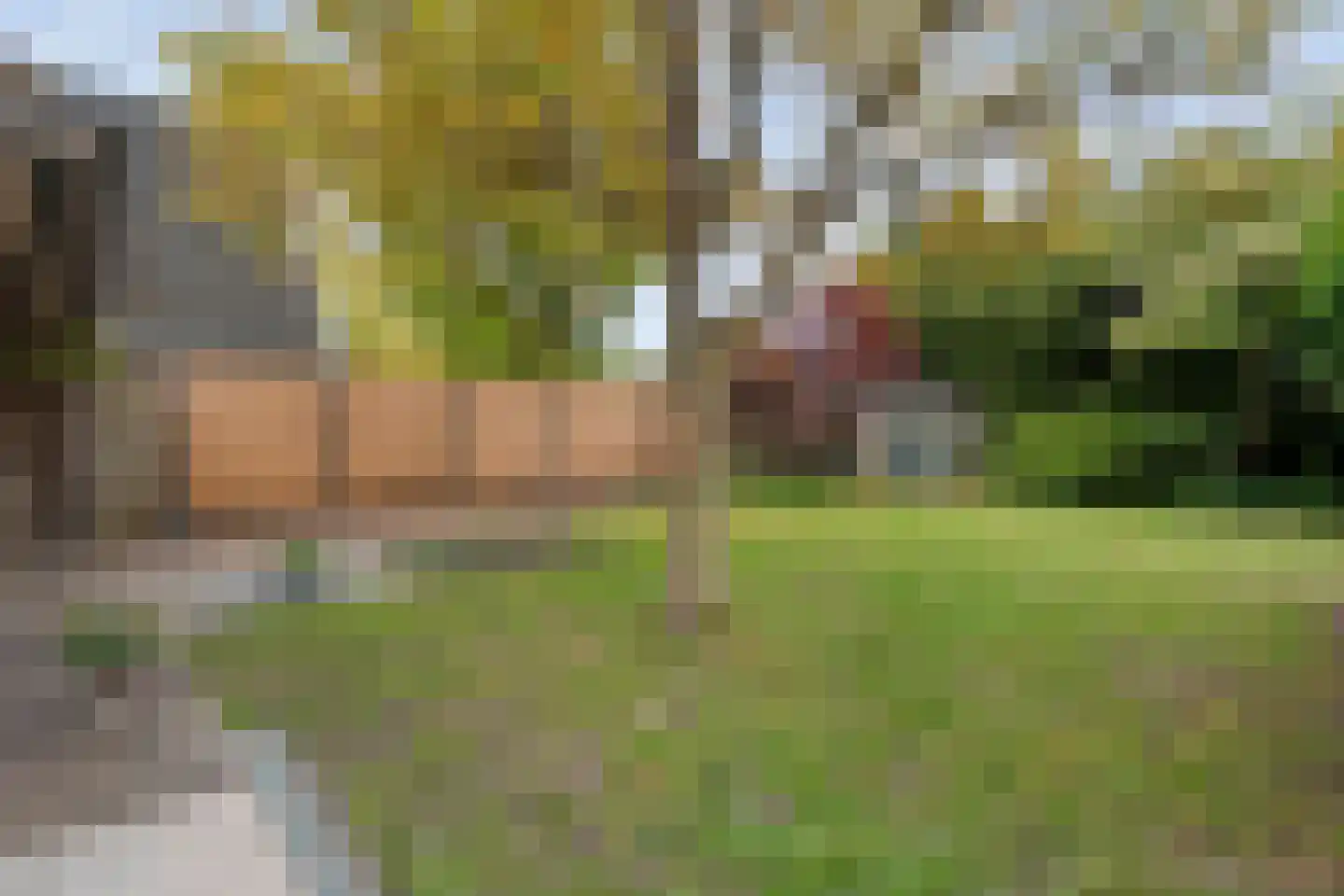 Markerichter 50 Almelo thumbnail 35