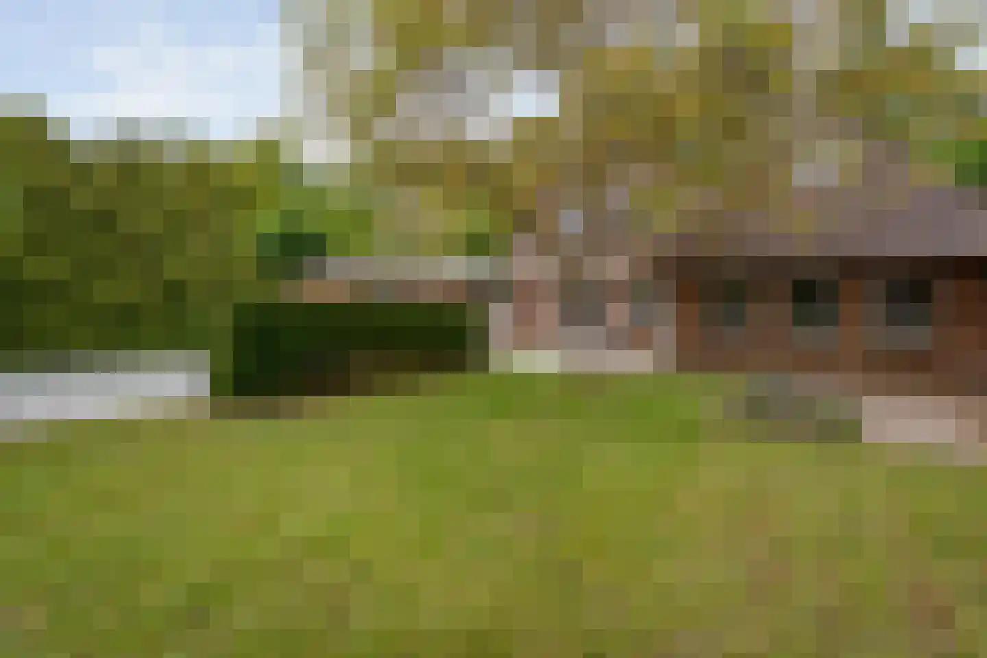 Markerichter 50 Almelo thumbnail 36