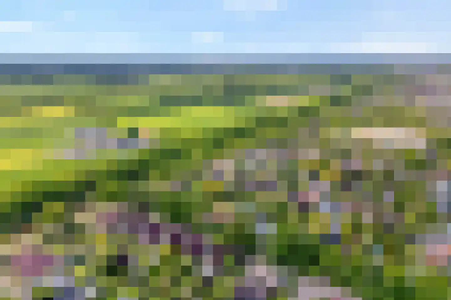 Markerichter 50 Almelo thumbnail 39