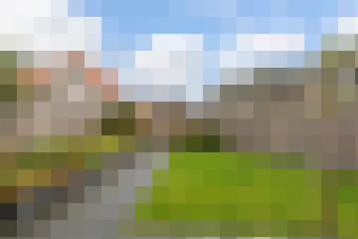 Markerichter 65 Hardenberg thumbnail 16