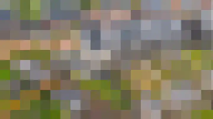 Markerichter 65 Hardenberg thumbnail 32