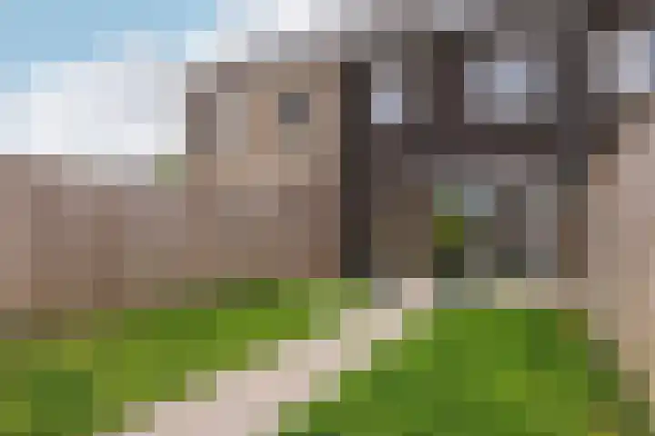 Markerichter 67 Hardenberg thumbnail 19