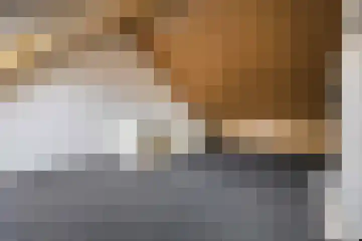 Markerichter 67 Hardenberg thumbnail 31