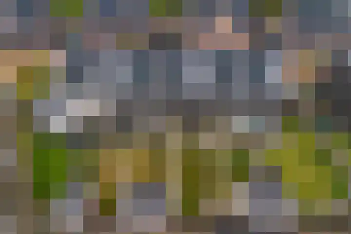 Markerichter 69 Hardenberg thumbnail 31