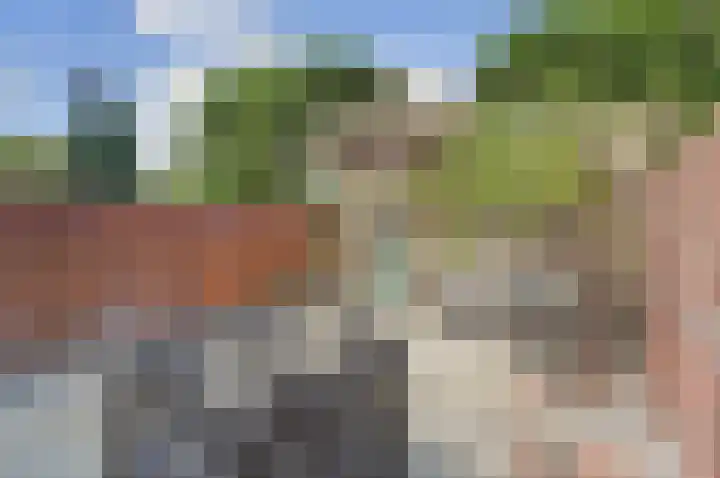 Markerichtersveld 203 Apeldoorn thumbnail 20