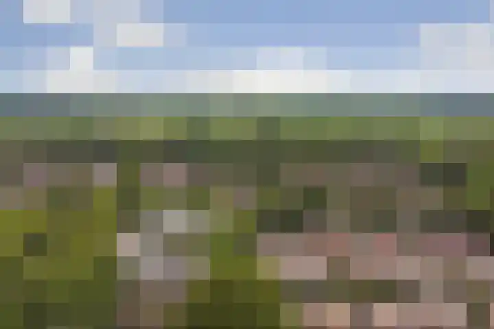 Markerichtersveld 203 Apeldoorn thumbnail 22