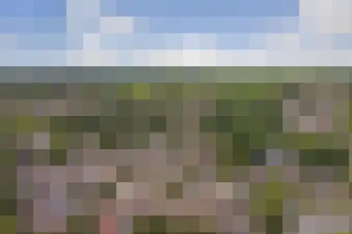 Markerichtersveld 203 Apeldoorn thumbnail 4