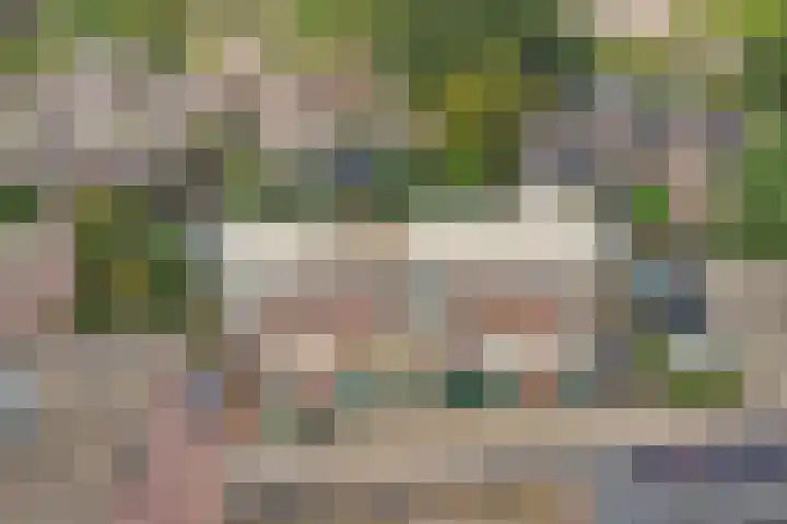 Markerichtersveld 203 Apeldoorn thumbnail 5