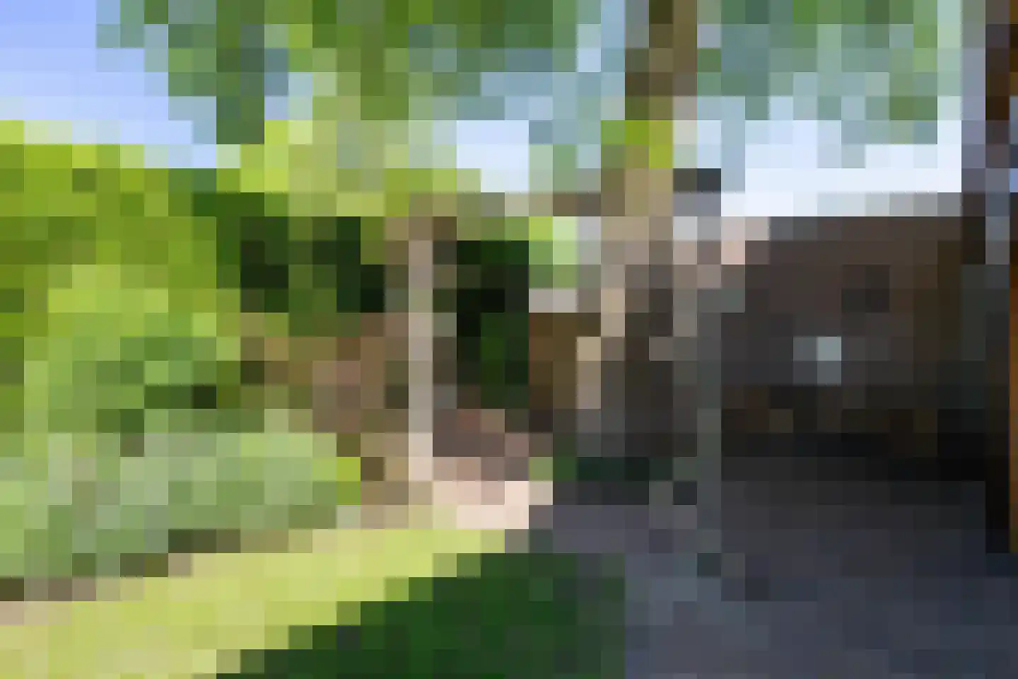 Markerichtersveld 321 Apeldoorn thumbnail 23