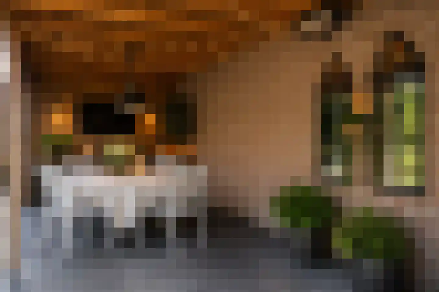 Markerichtersveld 321 Apeldoorn thumbnail 4