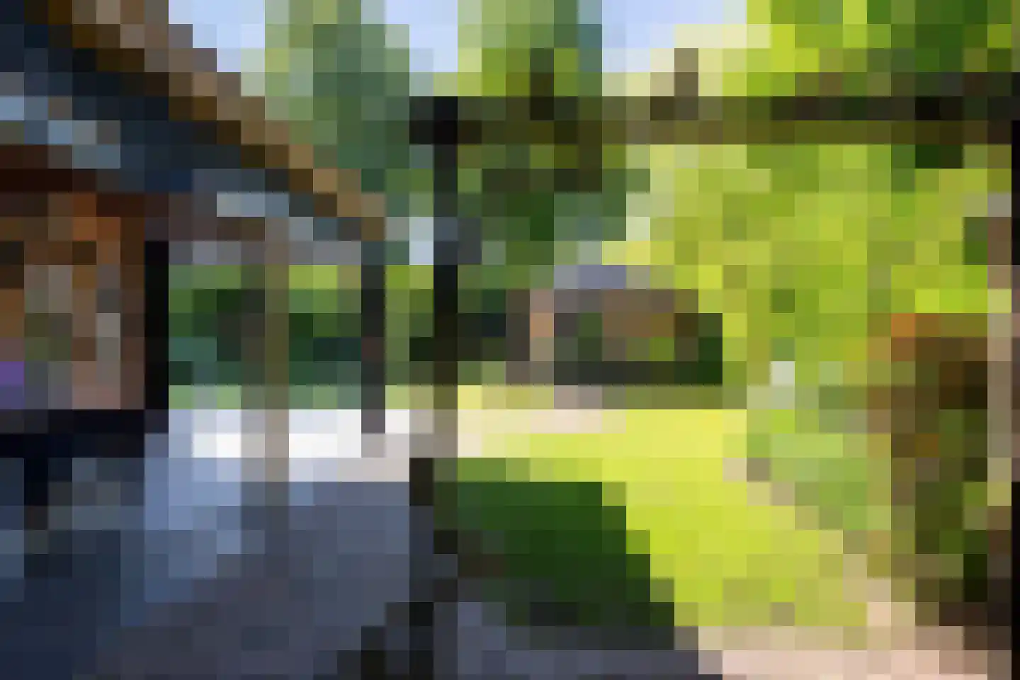 Markerichtersveld 321 Apeldoorn thumbnail 5