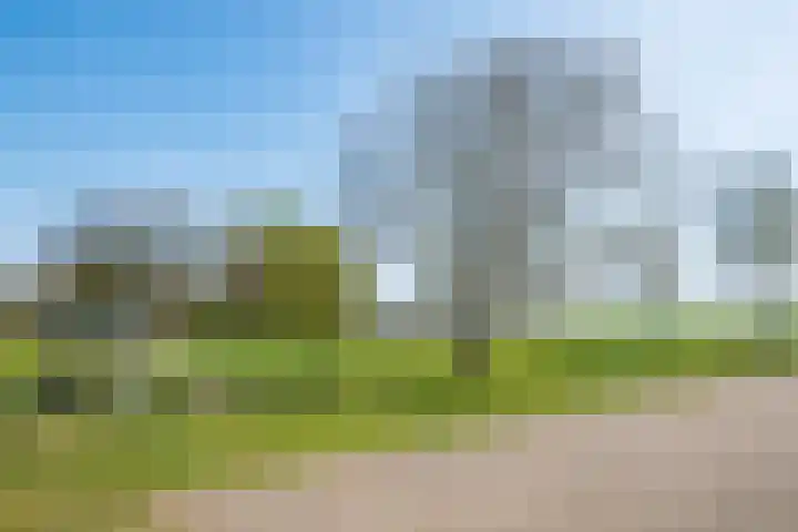 Markerinkdijk 40 Aalten thumbnail 15