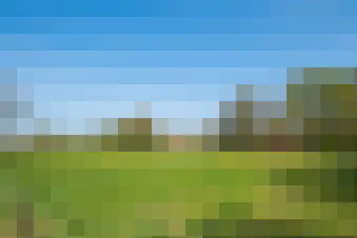 Markerinkdijk 40 Aalten thumbnail 16