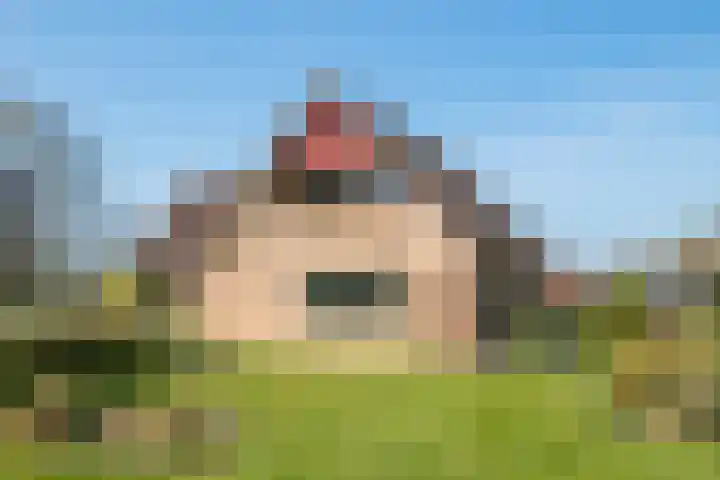 Markerinkdijk 40 Aalten thumbnail 20