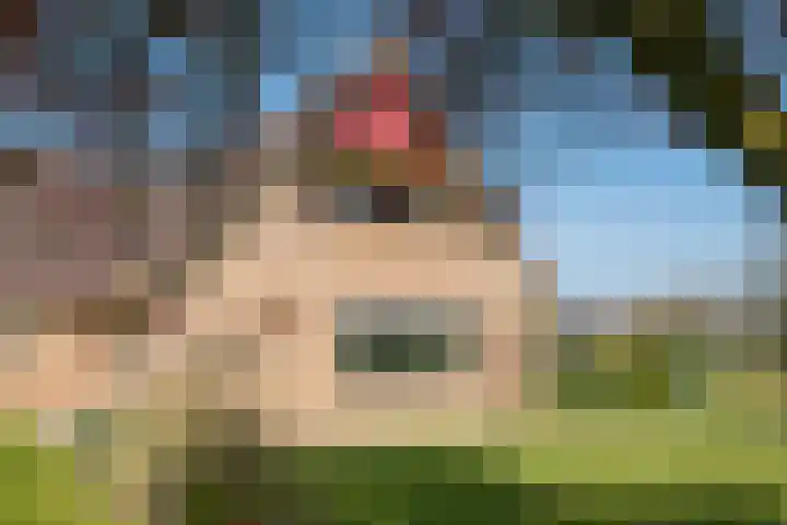 Markerinkdijk 40 Aalten thumbnail 22