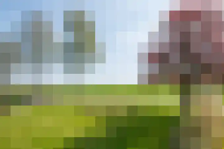 Markerinkdijk 40 Aalten thumbnail 24