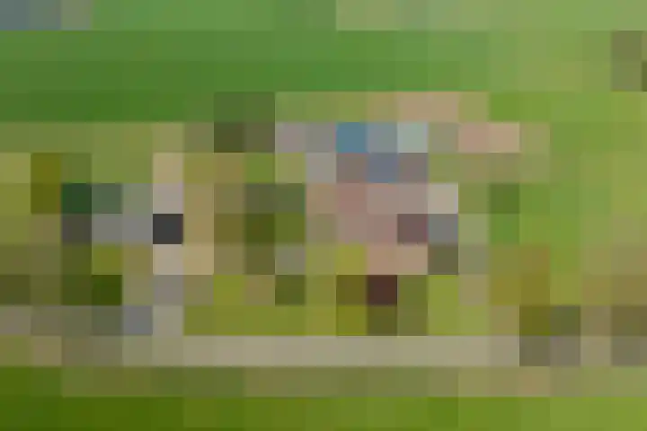 Markerinkdijk 40 Aalten thumbnail 6