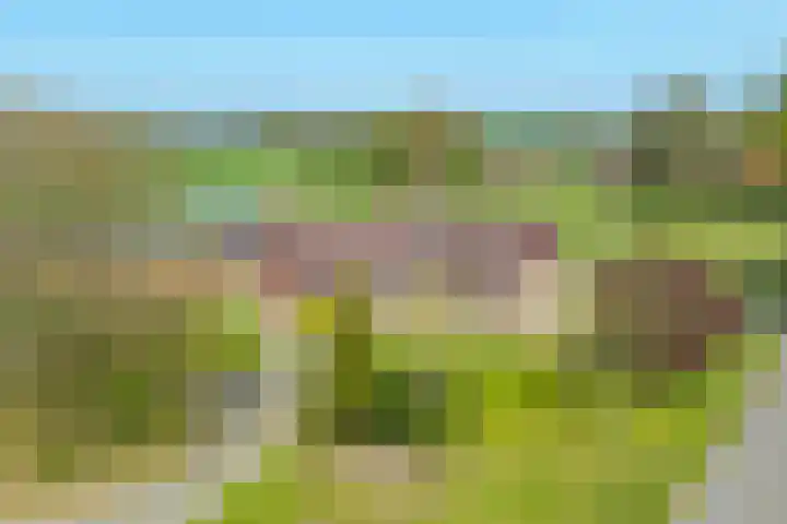 Markerinkdijk 40 Aalten thumbnail 7