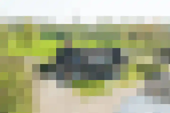 Markerinkdijk 40 Aalten thumbnail 8