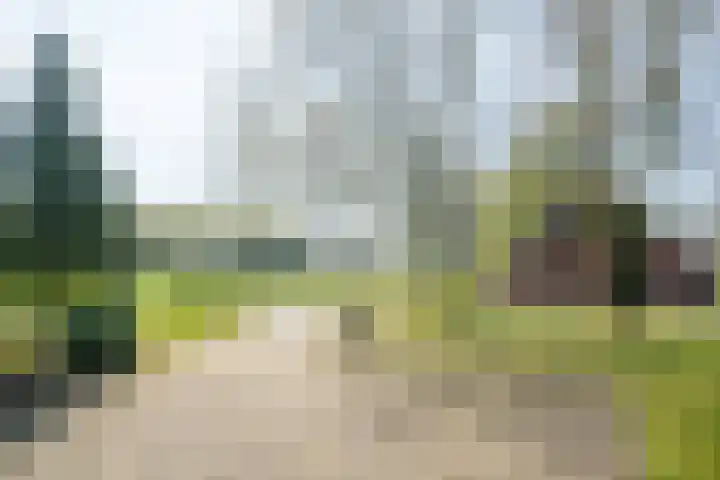 Markerinkdijk 42 Aalten thumbnail 17