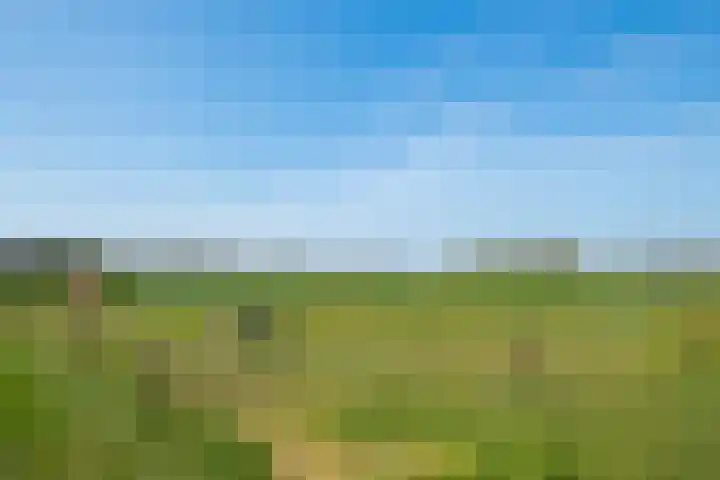 Markerinkdijk 42 Aalten thumbnail 31