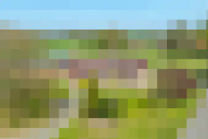 Markerinkdijk 42 Aalten thumbnail 4
