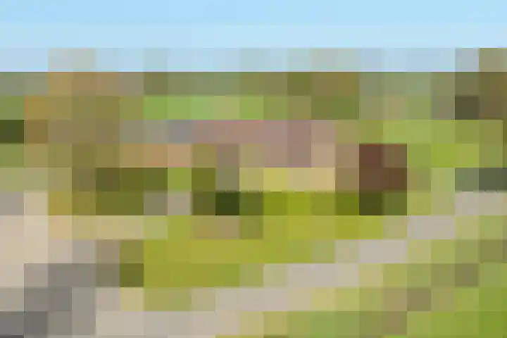 Markerinkdijk 42 Aalten thumbnail 5